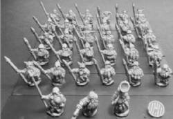 Dwarven Spearmen with Shields